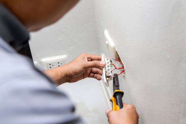 Best Electric Panel Repair  in Pine Ridge, FL